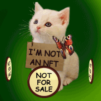 This Cat Is Not For Sale